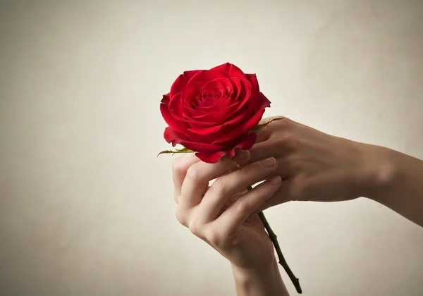 Holding a glowing heart, symbolizing healing and self-compassion